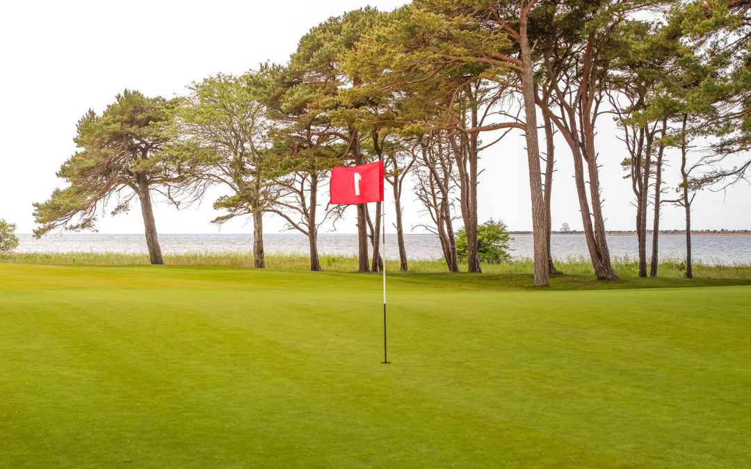 SOMMARGOLF PÅ GOTLAND