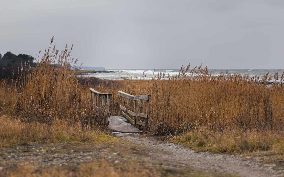 STORA VANDRINGSRESAN PÅ GOTLAND